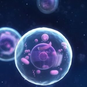 Biología Celular: la base de la vida