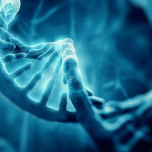 Genética: introducción a la herencia